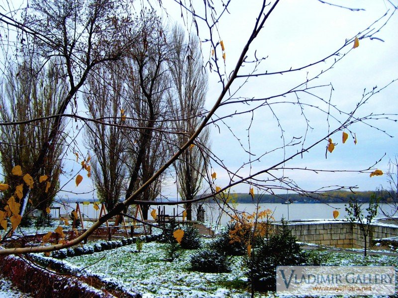 Зима в Дунавския парк