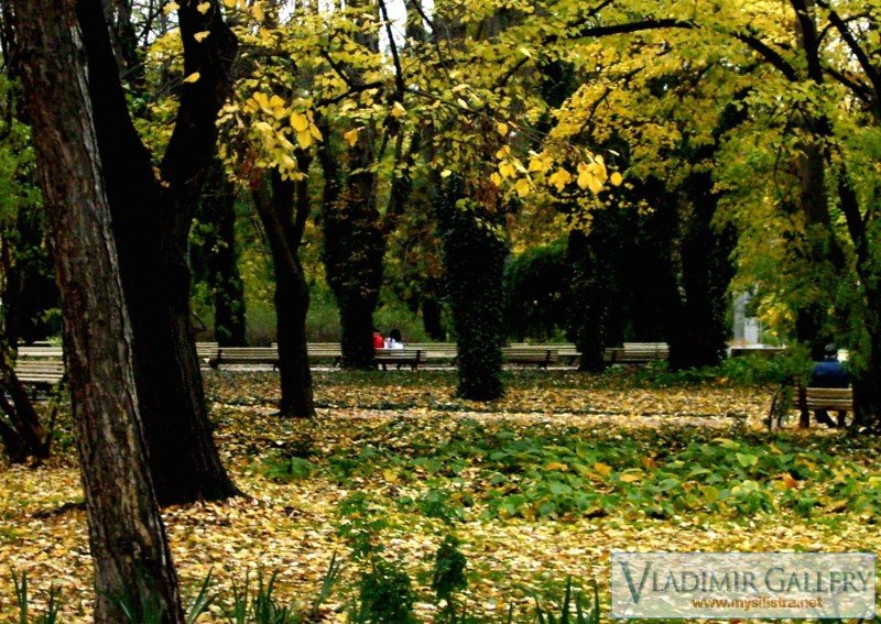 Есен в Дунавската градина