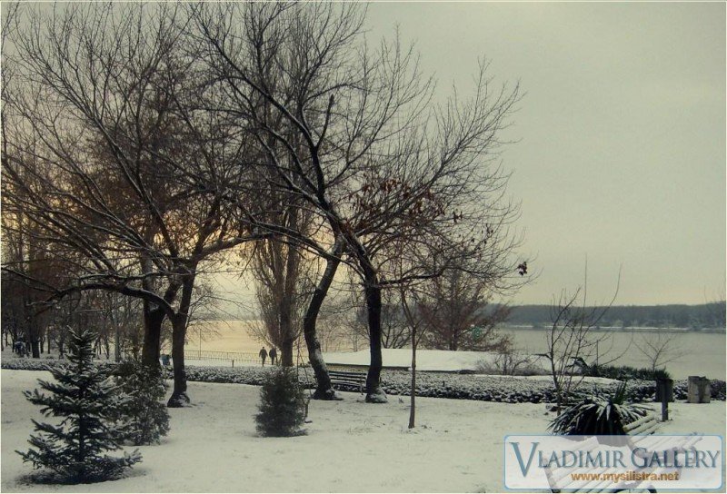 Зима в Дунавски парк
