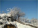 Зима в Силистра