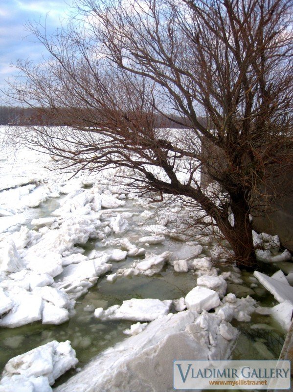 Замръзналият Дунав