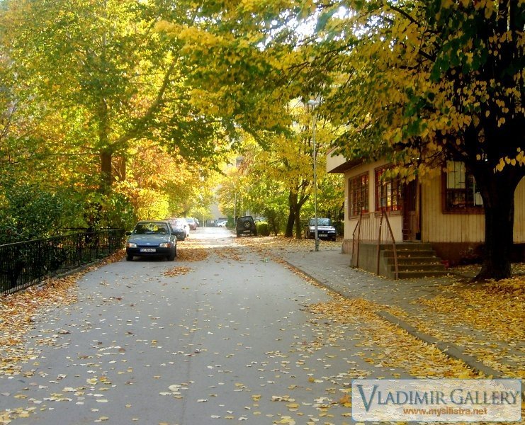 Улица в Силистра - MySilistra.net
