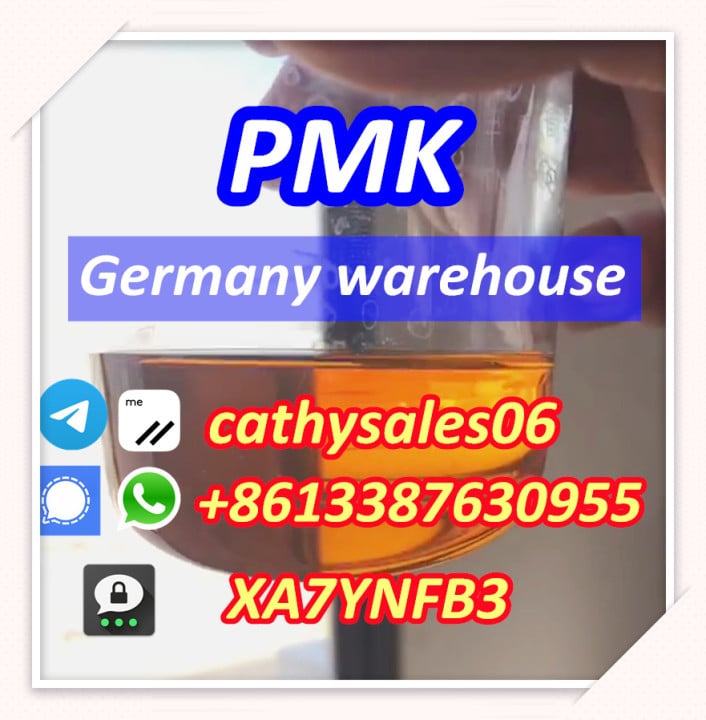 wholesales price CAS 28578-16-7 pmk powder factory