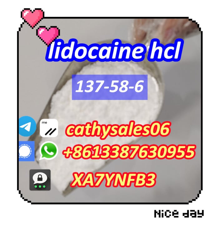 Lidocaine 137-58-6/ Lidocaine HCl 73-78-9
