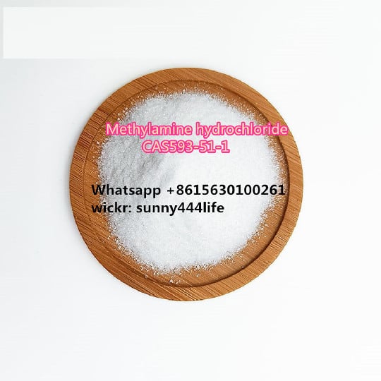 Methylamine hydrochloride CAS593-51-1 витх фаст делижереъ