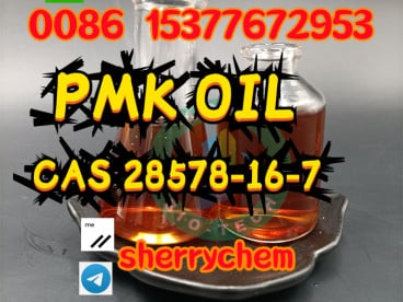 CAS 28578-16-7 PMK Oil BMK Oil Product Sell