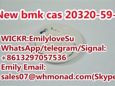 new bmk  CAS 20320-59-6 BMK Glycidate powder 16648-44-5