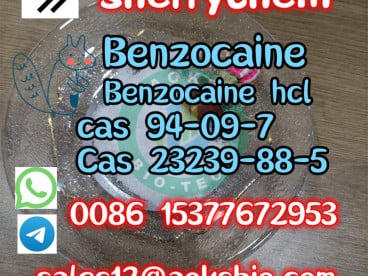 Benzocaine Powder Buy Online with Good Price CAS 94-09-7