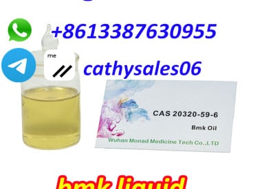 fast delivery new bmk oil CAS 20320-59-6 bmk liquid