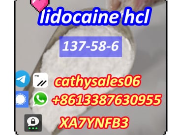 Lidocaine 137-58-6/ Lidocaine HCl 73-78-9