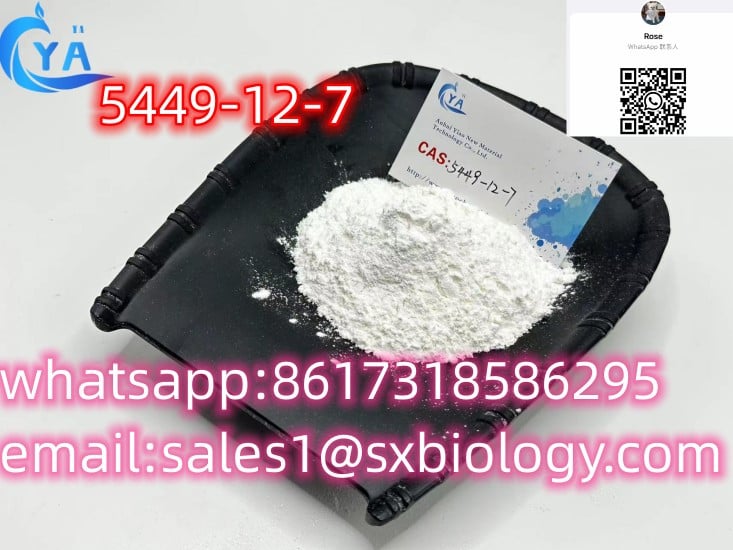 Wholesale 99% casCAS 5449-12-7 BMK Glycidic Acid sodium